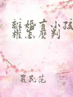 离婚有小孩抚养权怎么判