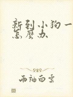 新到小狗一直叫怎么办