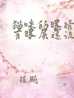 猫咪的眼睛红肿有眼屎还流泪如何治疗