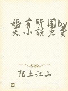 婚有所图by趁天小说免费阅读