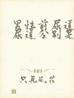 男性前尿道和后尿道分别是什么