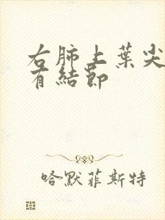 右肺上叶尖段肺有结节