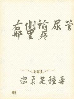 右侧输尿管结石哪里疼