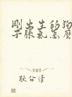 刚出生的狗狗肚子胀气怎么办