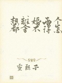 想离婚两个孩子都舍不得怎么办?