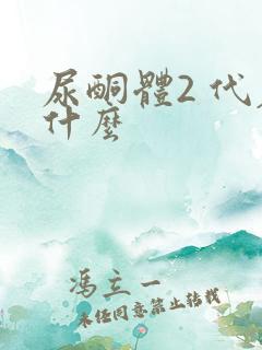 尿酮体2 代表什么