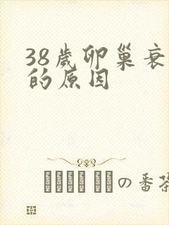 38岁卵巢衰退的原因