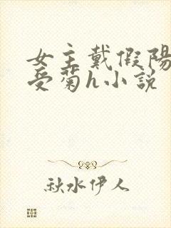 女主戴假阳爆男受菊h小说