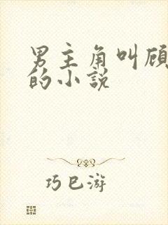 男主角叫顾长生的小说