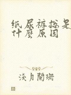 纸尿裤总是漏尿什么原因