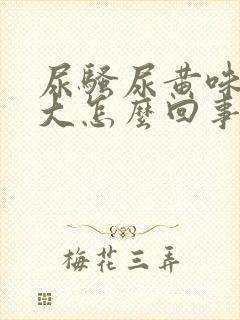 尿骚尿黄味特别大怎么回事