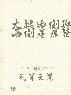 大腿内侧与阴囊两侧瘙痒发黑