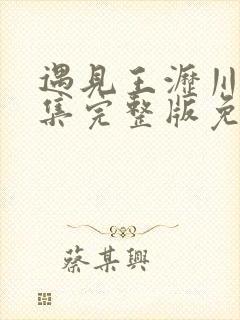 遇见王沥川38集完整版免费