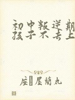 初中叛逆期的男孩子不去上学怎么去引导