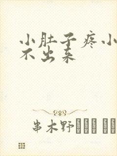 小肚子疼小便尿不出来