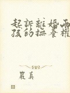 起诉离婚两个小孩的抚养权怎么判