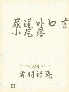 尿道外口有一个小疙瘩