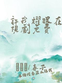 许我耀眼在线电视剧免费