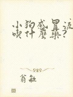 小狗感冒流鼻涕吃什么药?