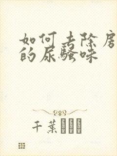 如何去除房间里的尿骚味