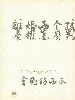 离婚两个孩子抚养权怎么判定