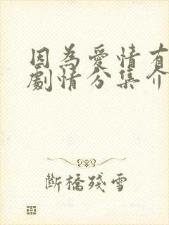 因为爱情有幸福剧情分集介绍