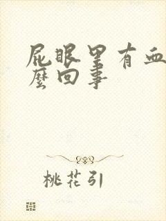 屁眼里有血是怎么回事