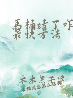 马桶堵了咋疏通最快方法