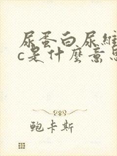 尿蛋白尿维生素c是什么意思