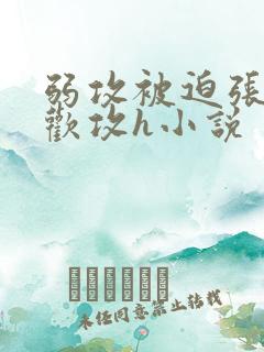 弱攻被迫张腿承欢攻h小说