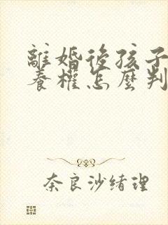 离婚后孩子的抚养权怎么判定