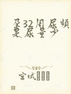 孕32周尿频但是尿量少