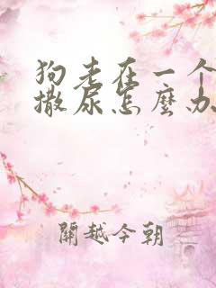 狗老在一个地方撒尿怎么办