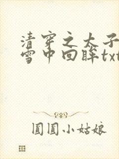 清穿之太子娇妃雪中回眸txt