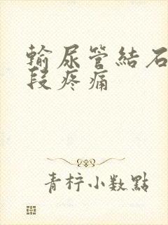 输尿管结石到下段疼痛