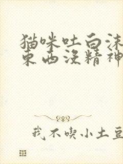 猫咪吐白沫不吃东西没精神怎么办