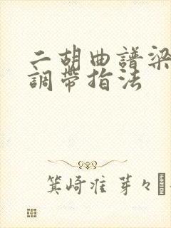 二胡曲谱梁祝g调带指法