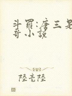 斗罗:唐三是我哥小说