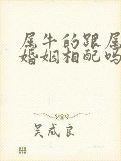 属牛的跟属兔的婚姻相配吗