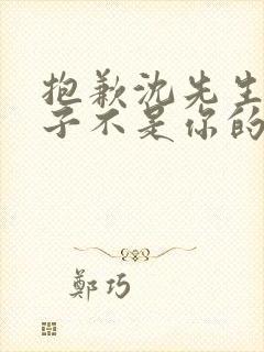 抱歉沈先生,孩子不是你的短剧全集