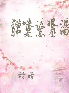 猫咪流眼泪眼睛肿是怎么回事