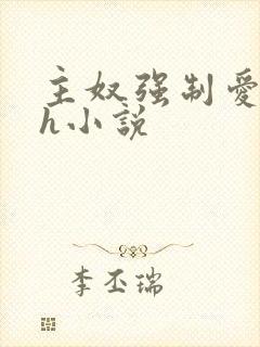 主奴强制爱双性h小说