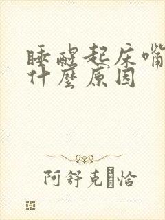 睡醒起床嘴巴苦什么原因