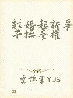 离婚起诉争夺孩子抚养权