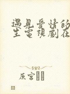 遇见爱情的利先生电视剧在线播放