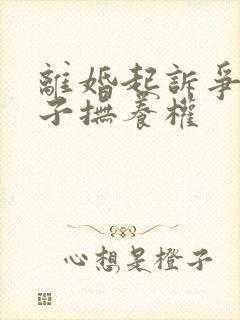 离婚起诉争夺孩子抚养权