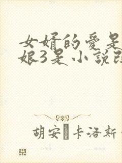 女婿的爱是丈母娘3是小说改编吗