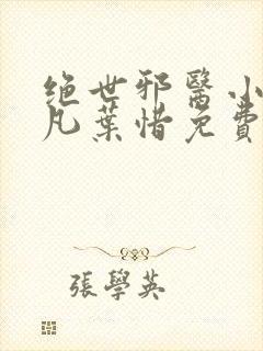 绝世邪医小说林凡叶惜免费阅读全文