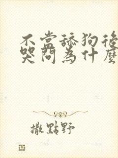 不当舔狗后校花哭问为什么小说