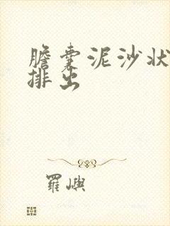 胆囊泥沙状结石排出